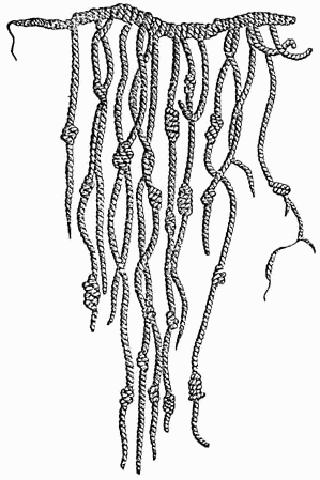 Quipu